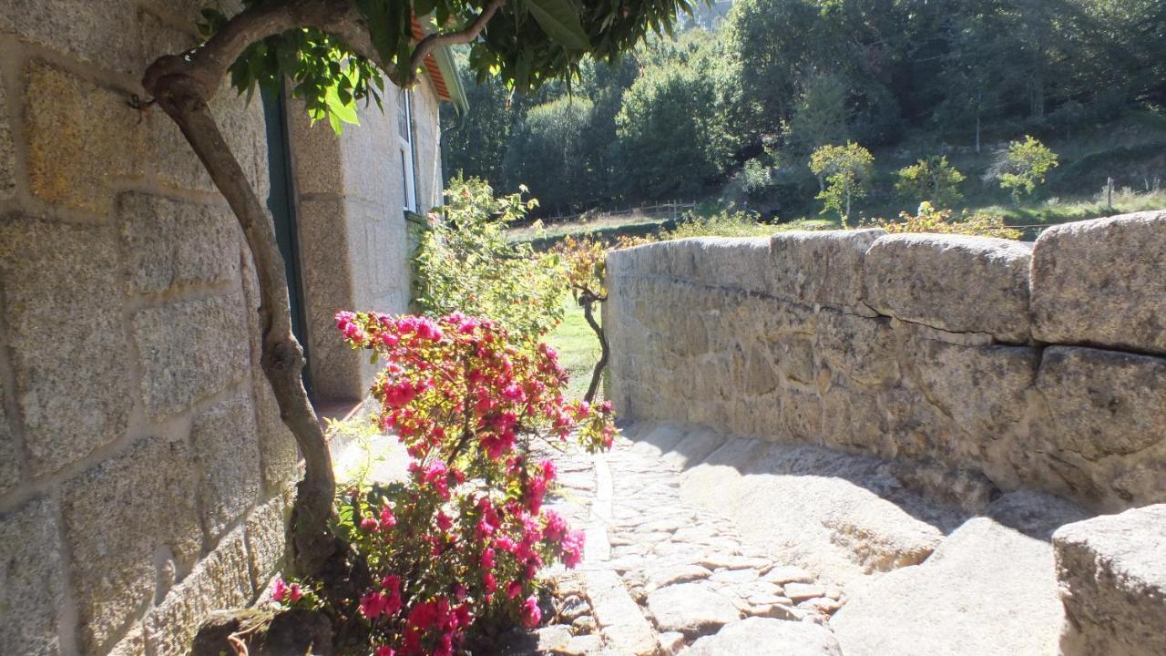Villa Quinta Do Caritel à Vouzela Extérieur photo