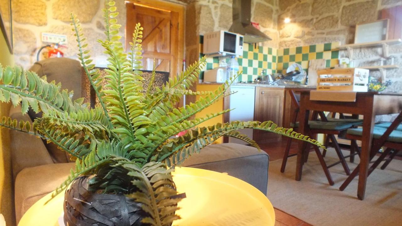 Villa Quinta Do Caritel à Vouzela Extérieur photo